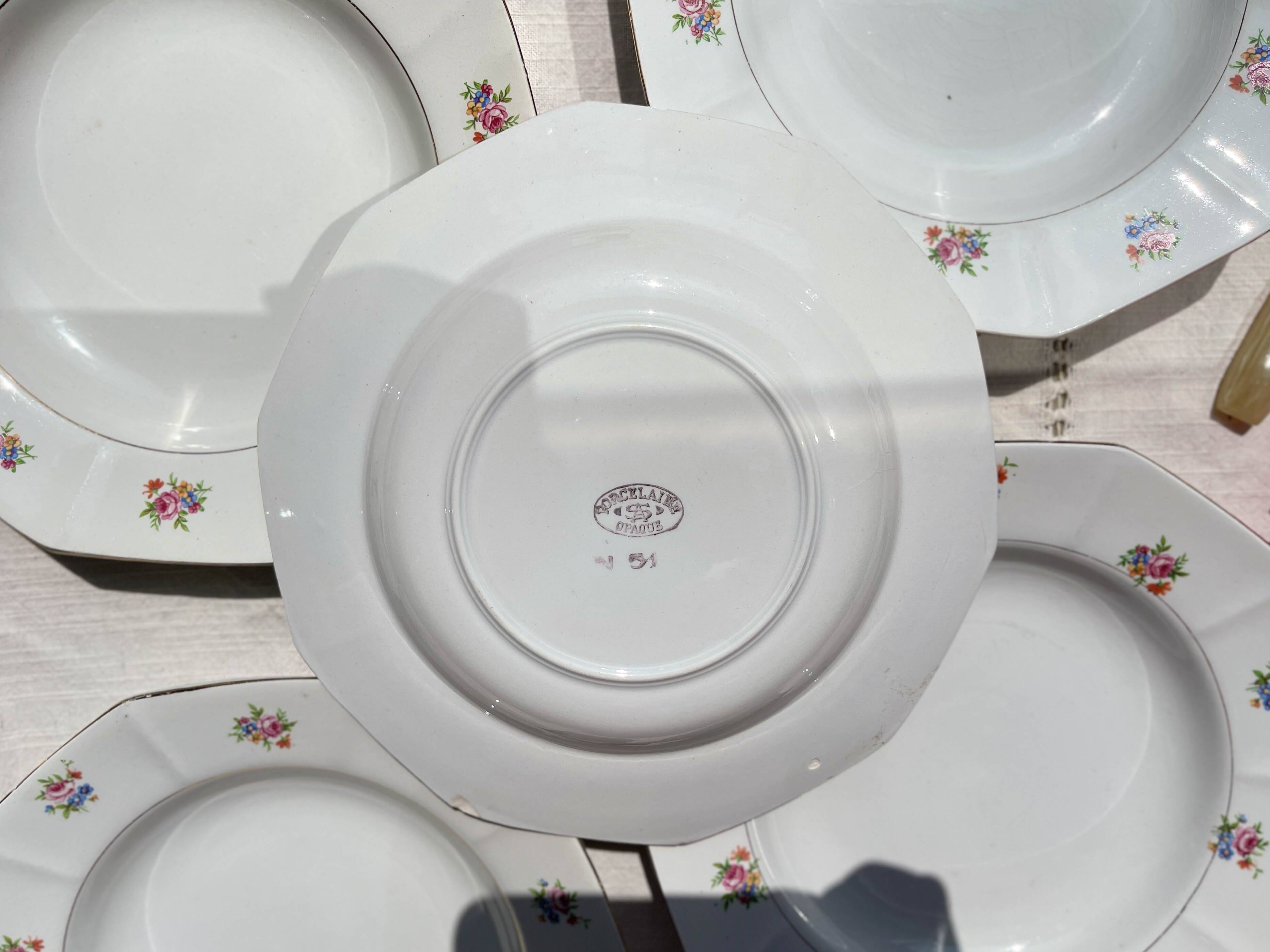 5 vintage hollow plates in opaque porcelain SALINS floral pattern