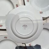 5 vintage hollow plates in opaque porcelain SALINS floral pattern