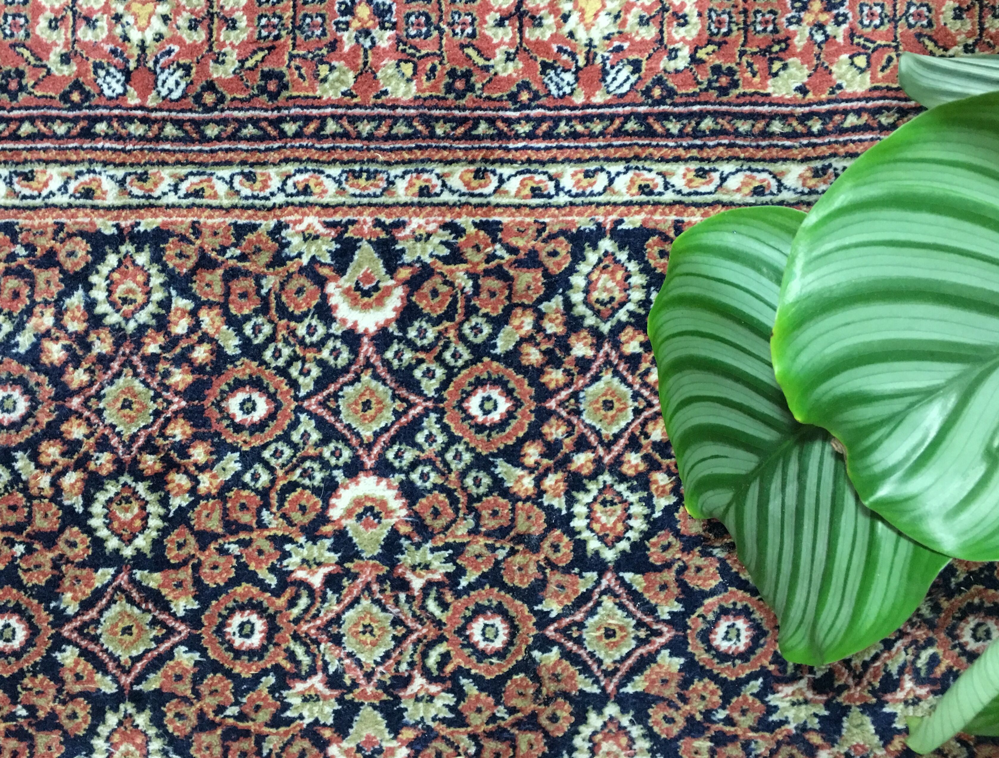 Carpet vintage 150 x 250 cm