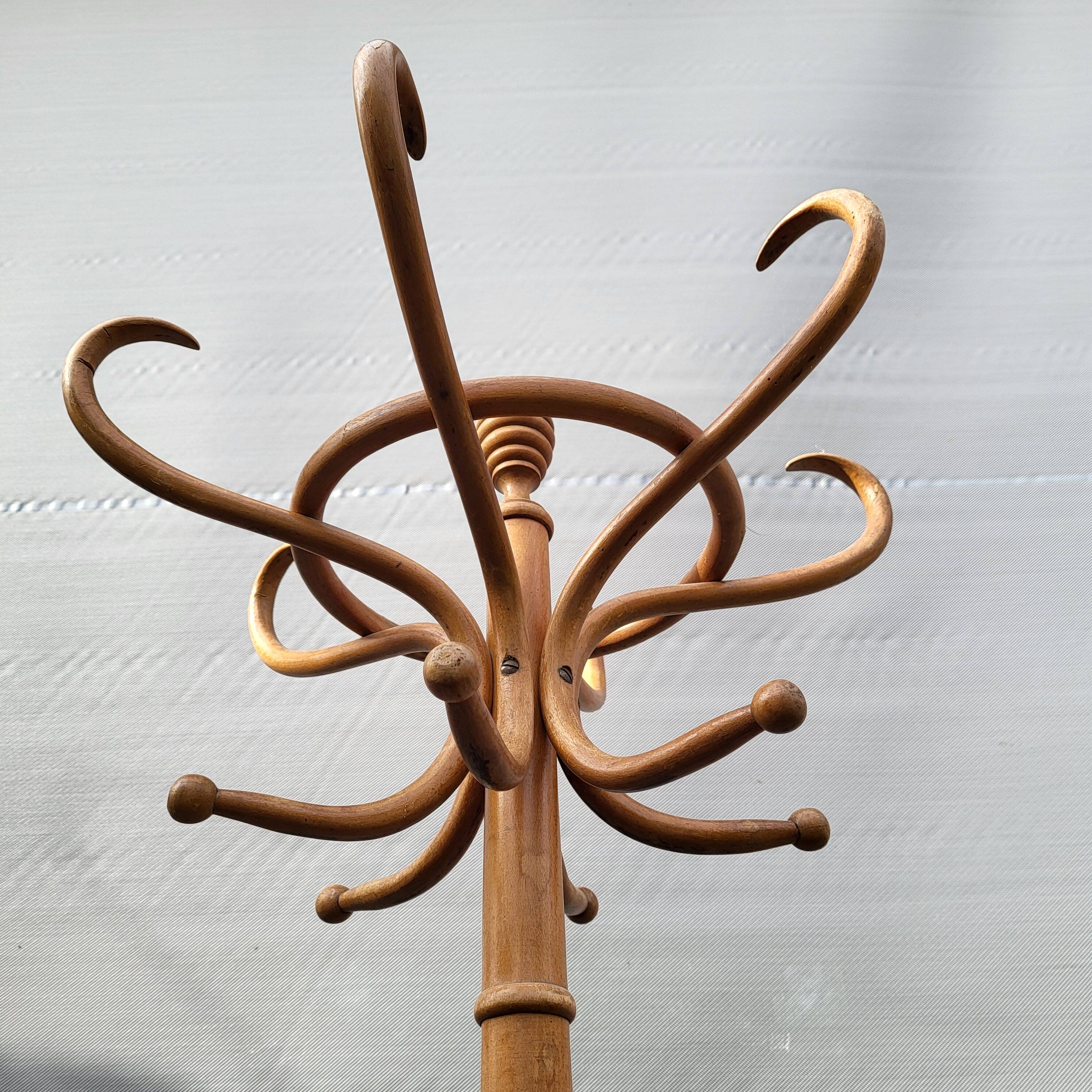 Parrot curved wood coat rack