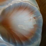 Set of 4 oyster plates Sarreguemines