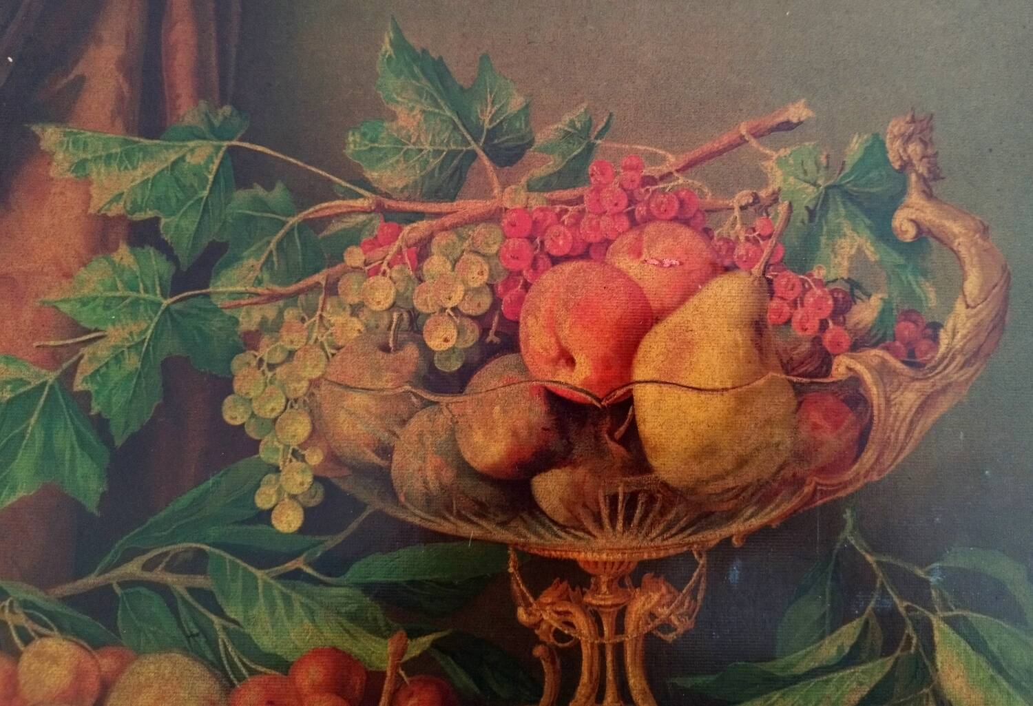 Chromolithograph Still Life Fruits Signed G. Falchetti