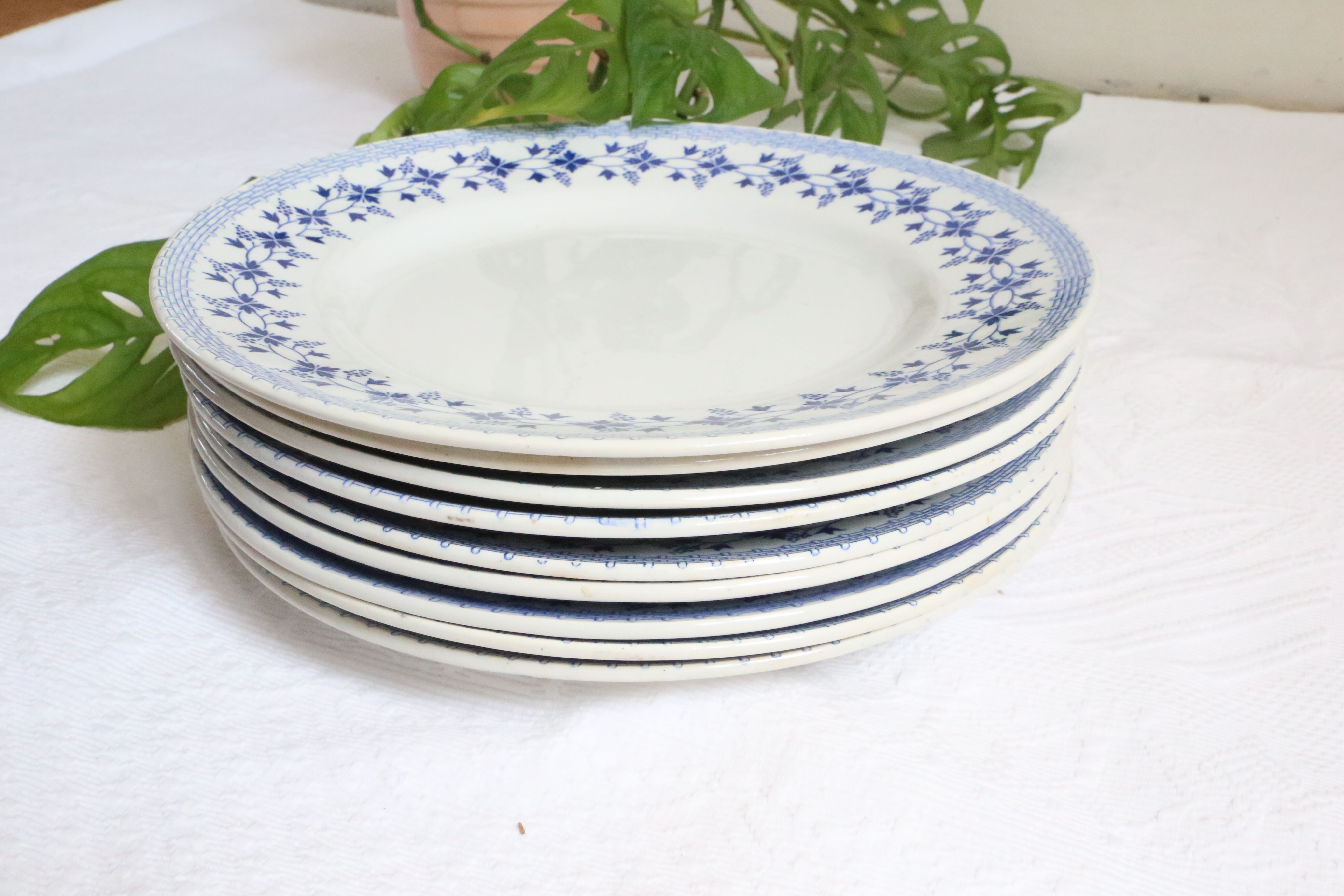 Ensemble de 9 assiettes plates, saint Amand, Bleuets, terre de fer