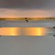 XXL Wall Sconce in Brass and Glass in Bauhaus Style, 1930s - Czechoslovakia