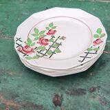 Iron earth dessert plates