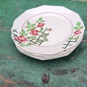 Iron earth dessert plates