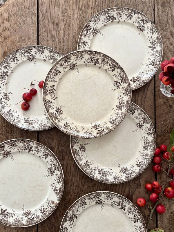 Lot de 6 assiettes plates anciennes en terre de fer modèle Alphand
