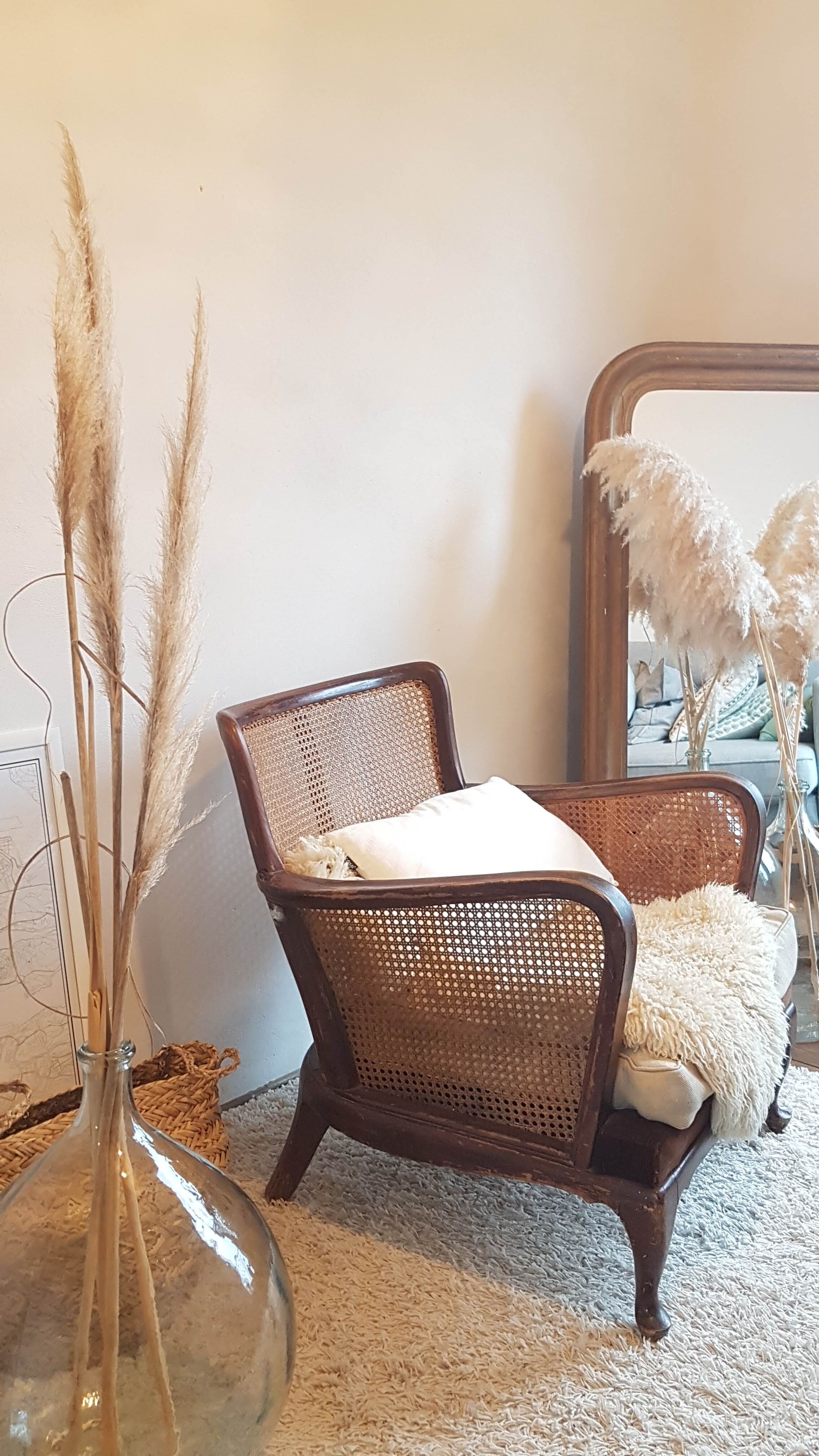 Steiner canna armchair