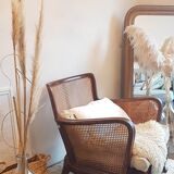 Steiner canna armchair