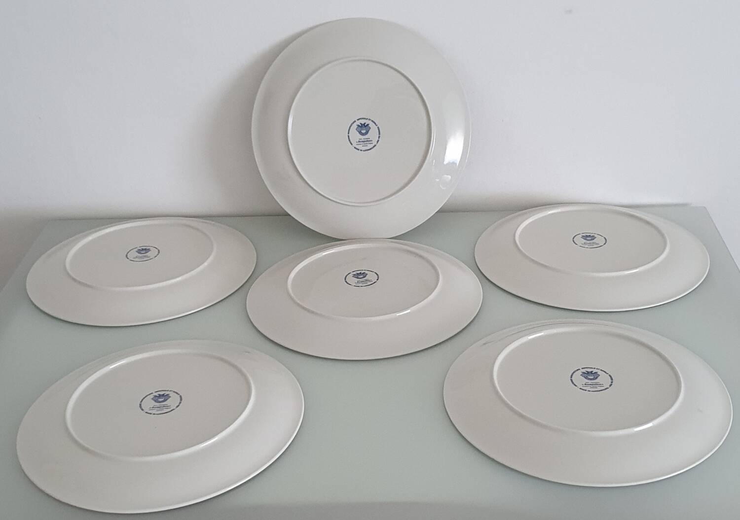 Set of 6 Villeroy & Boch gourmet plates - Acapulco model