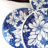 5 soup plates with English skullcaps