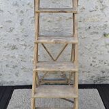 Large stepladder
