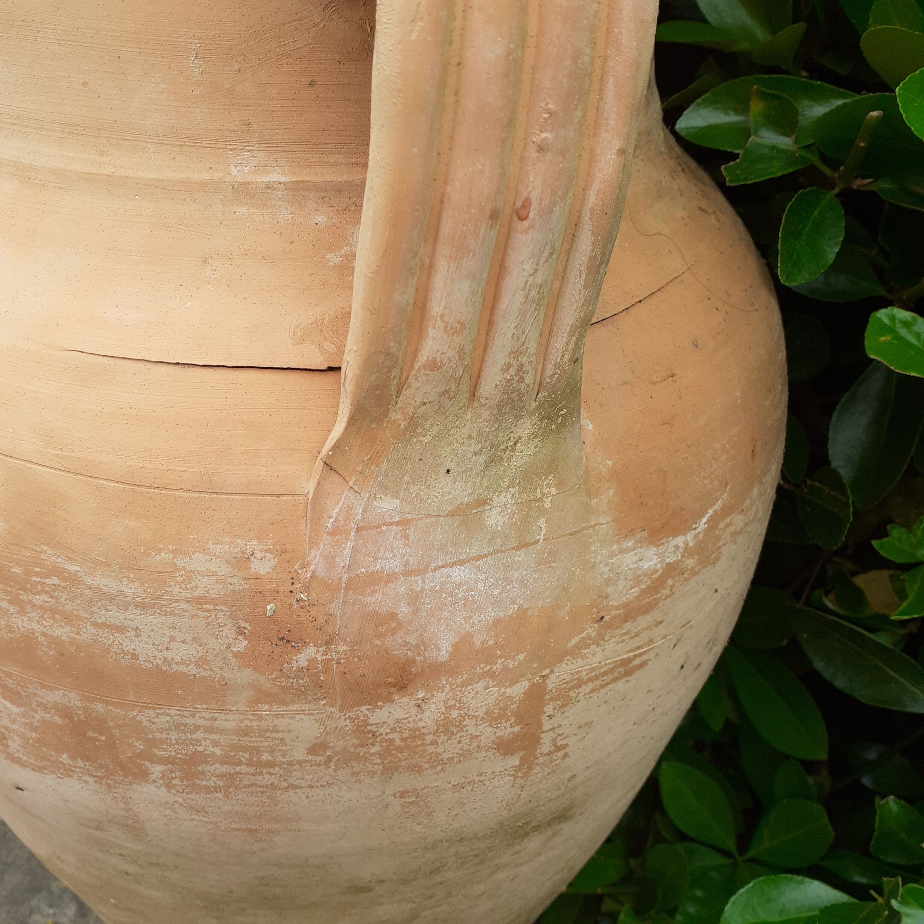 Terracotta jar.