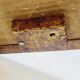 Longwy Trivet with Doorbell, Glazed Earthenware Tile and Wooden Frame