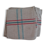 6 napkins. basque style. unbleached background