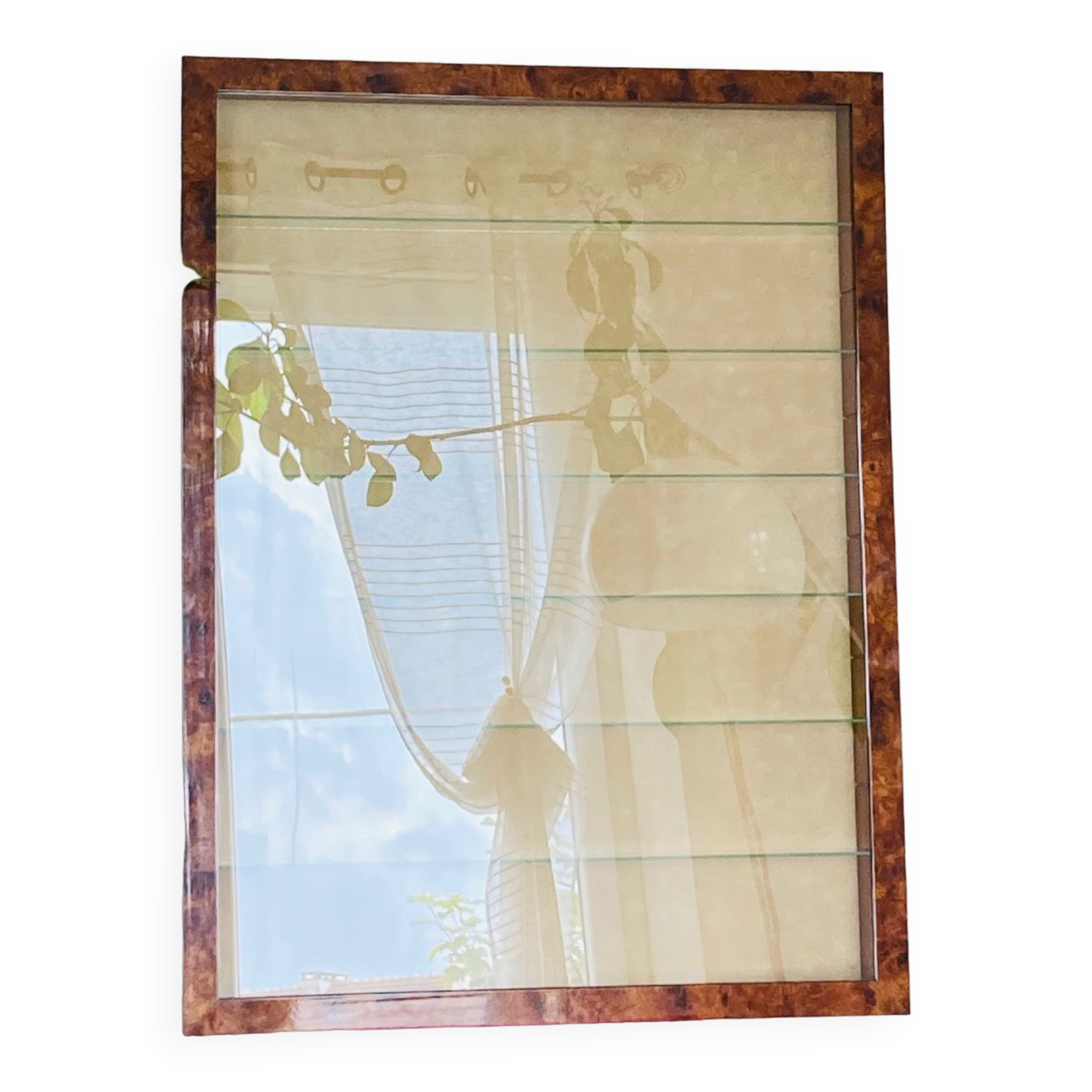 Peli-folies wall showcase in real elm magnifying glass, french manufacture (available)