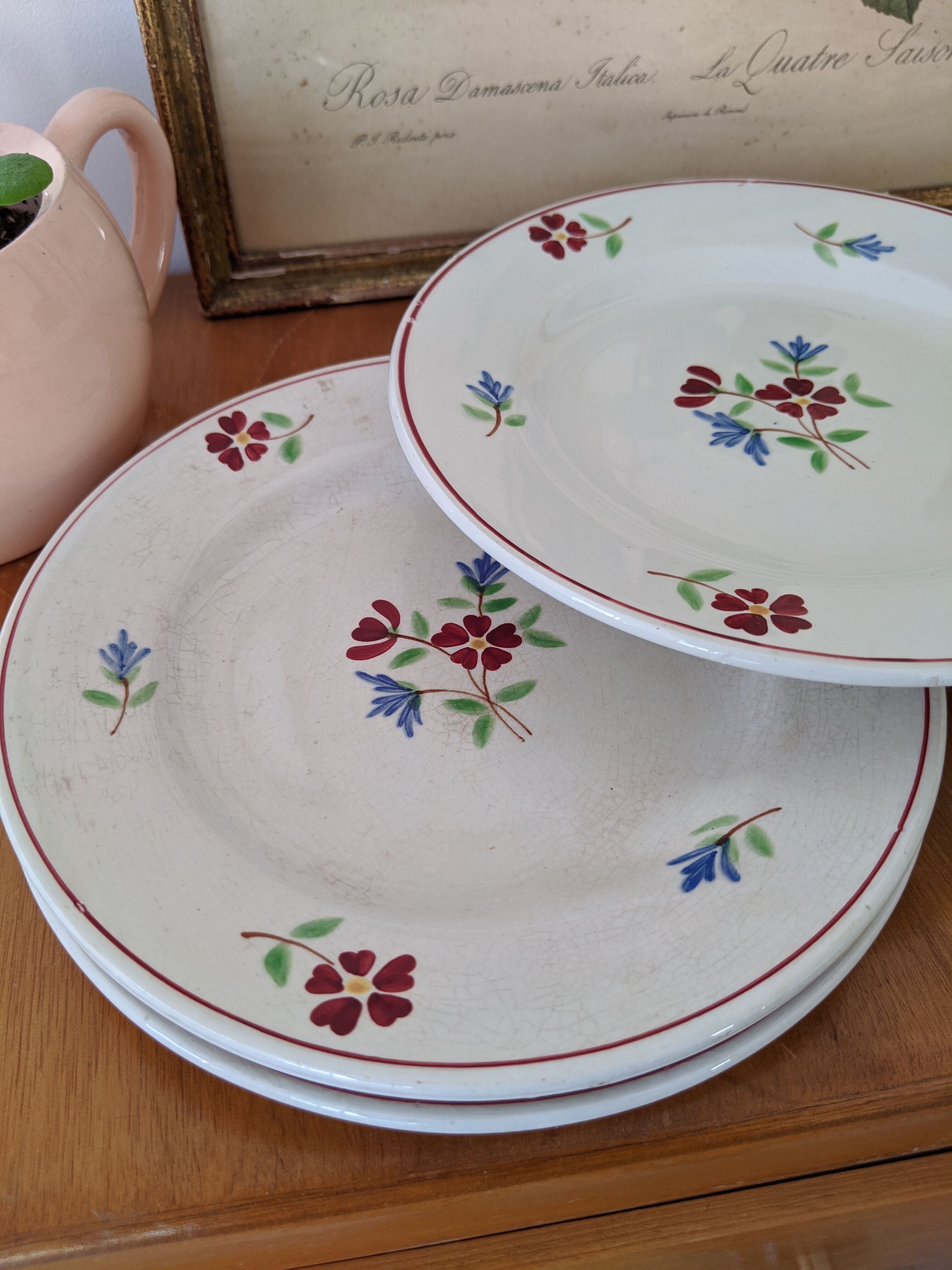 Lot of 7 dessert plates Moulin des Wolves