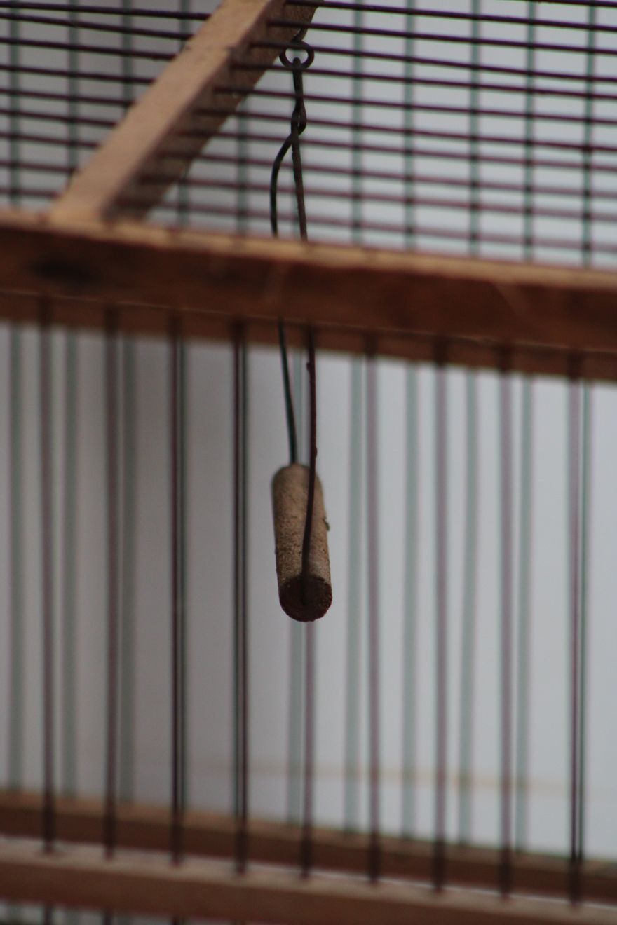 Old wooden bird cage
