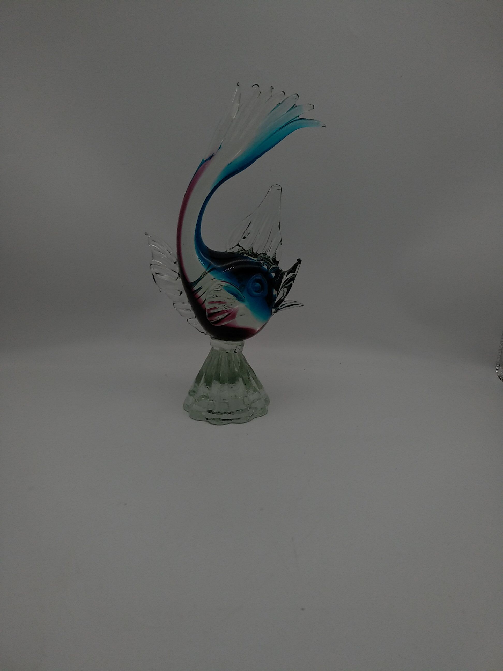 Glass fish