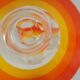 Set of 5 glasses with advertising aperitifs Vabé 1970 vintage