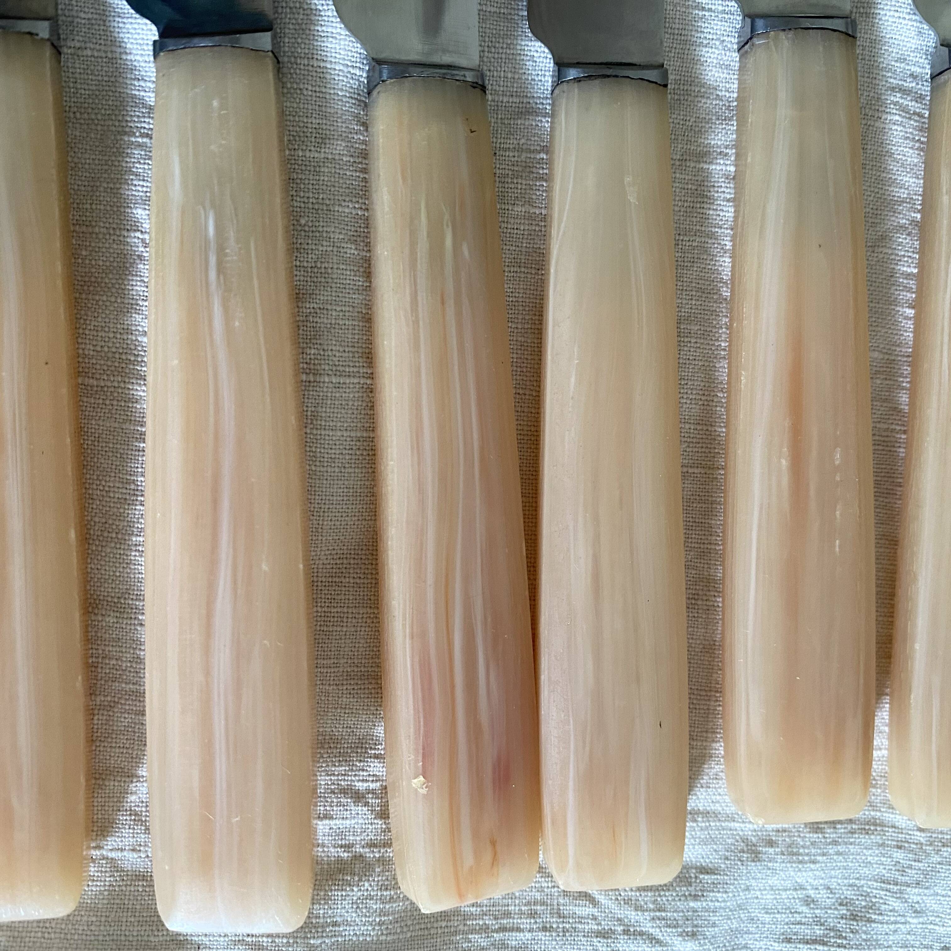 Vintage resin and stainless steel knives