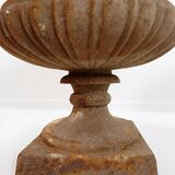 Pair of Medici cast iron planters - Late 19th century