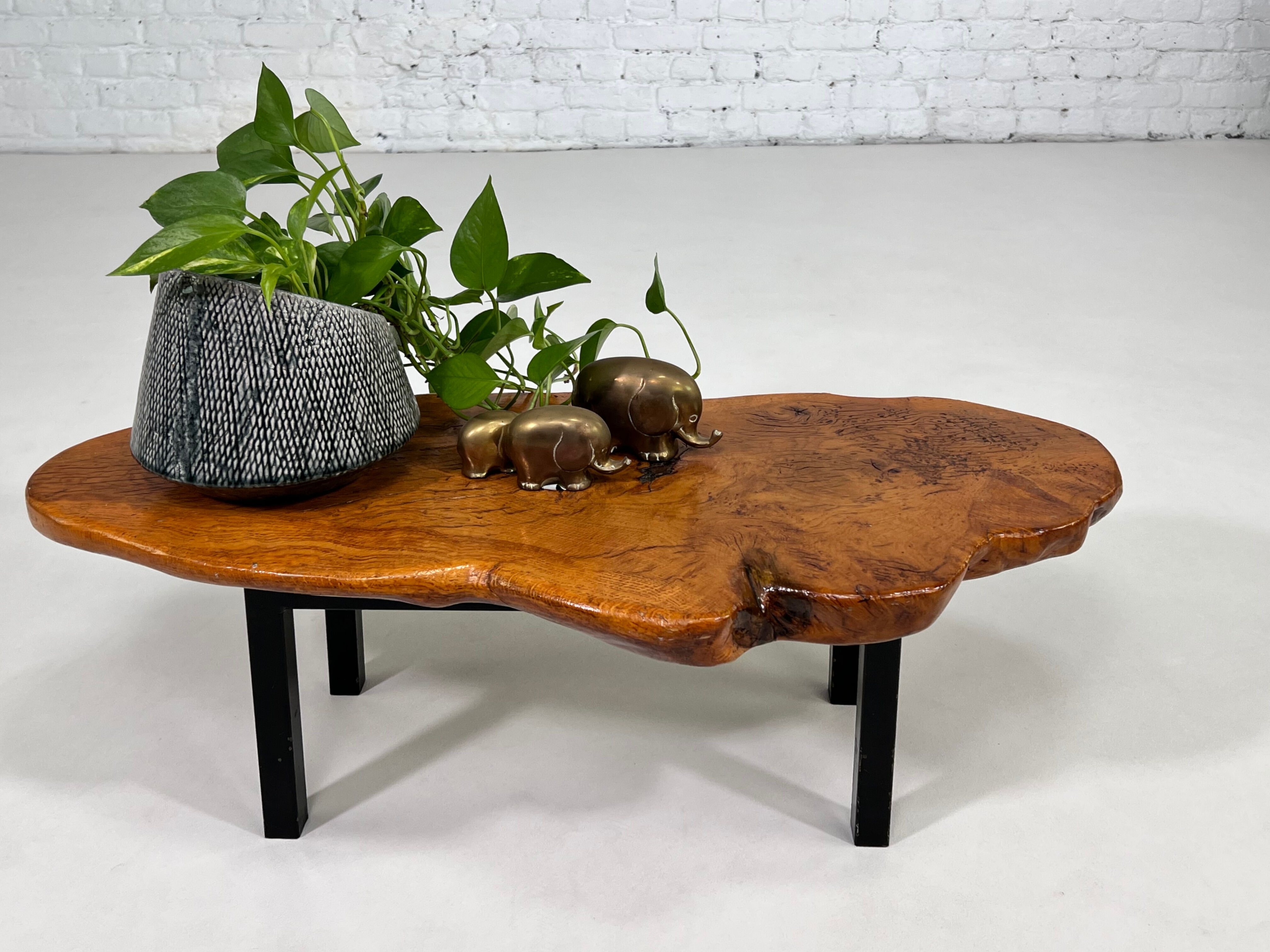 Tree trunk coffee table 50s