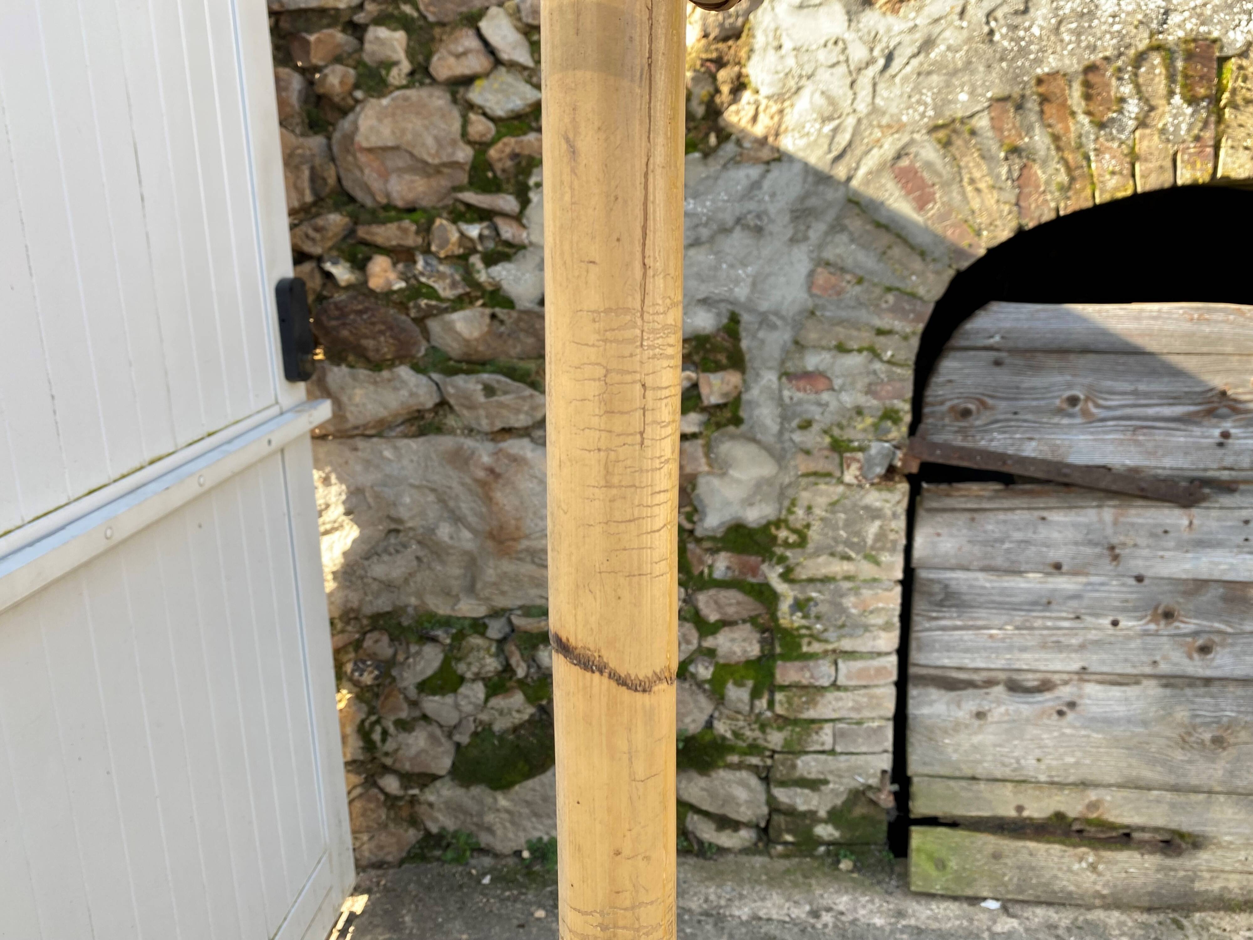 Vintage rattan parrot coat rack 1970