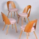 Chairs by Antonín Šuman 1950
