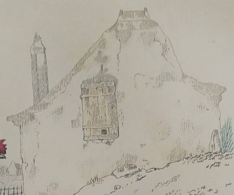 Ornithological Plate, Buffon 1838 "Rooster, Hen, Turkey, Guinea Fowl"