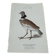 Gravure botanique ancienne planche naturaliste 1903 oiseaux