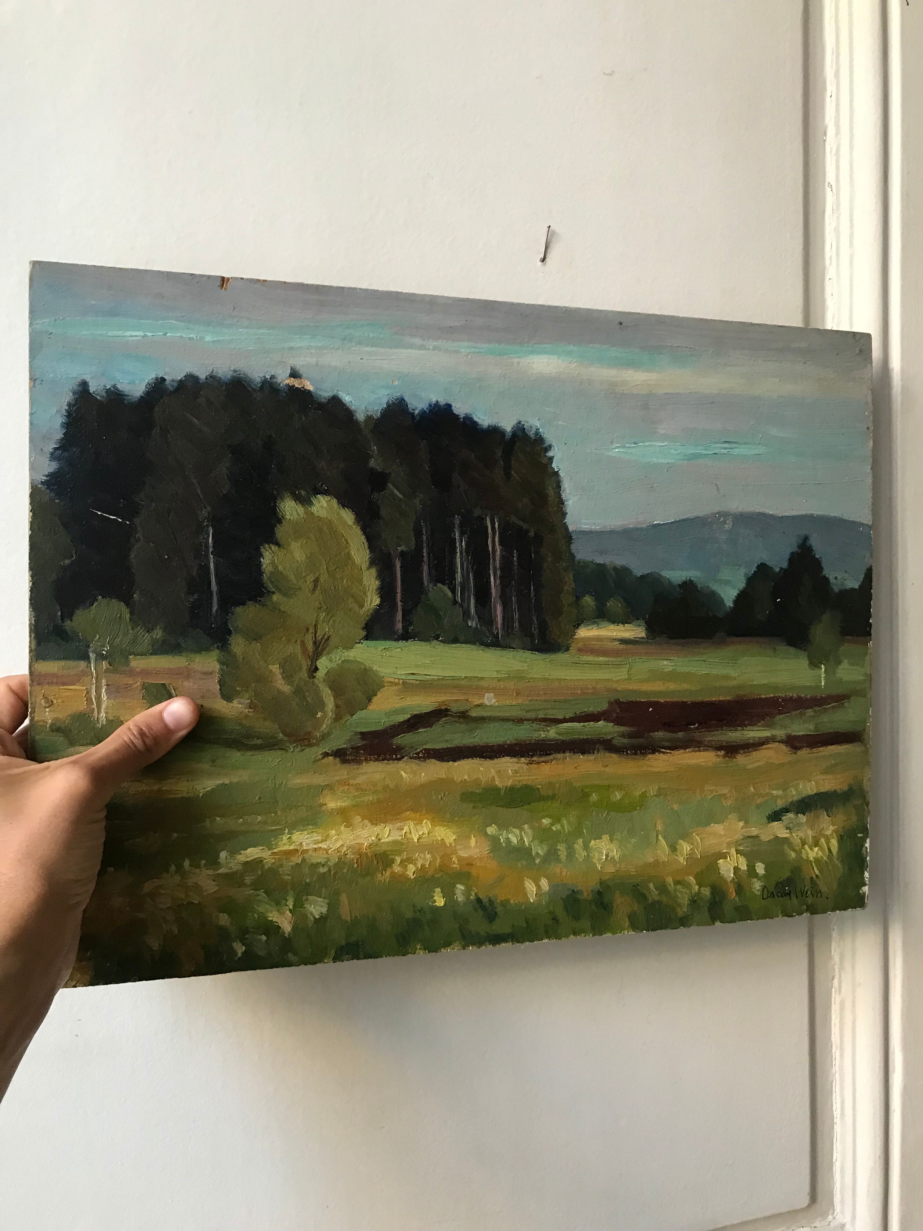 Landscape oil painting