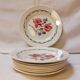 Set of 8 old flat plates from digoin sarreguemines earthenware factories - cannes model