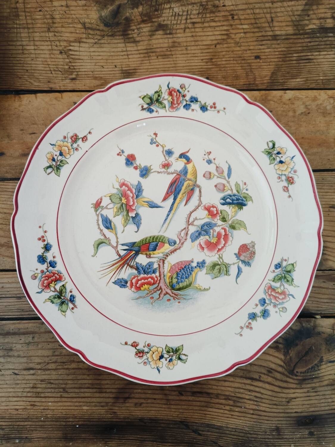 Villeroy & Boch “Phoenix” dinner plates