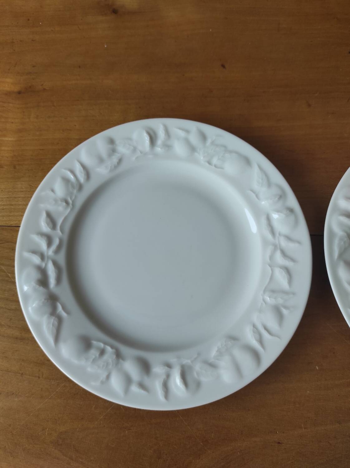 Set of 2 Limoges porcelain plates with Riviera decor