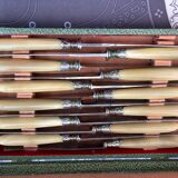 Set of 12 horn handle table knives