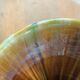 Amphora vase in glazed ceramic vallauris sign E.Covain vintage