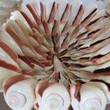 Shell tidy from the 70s