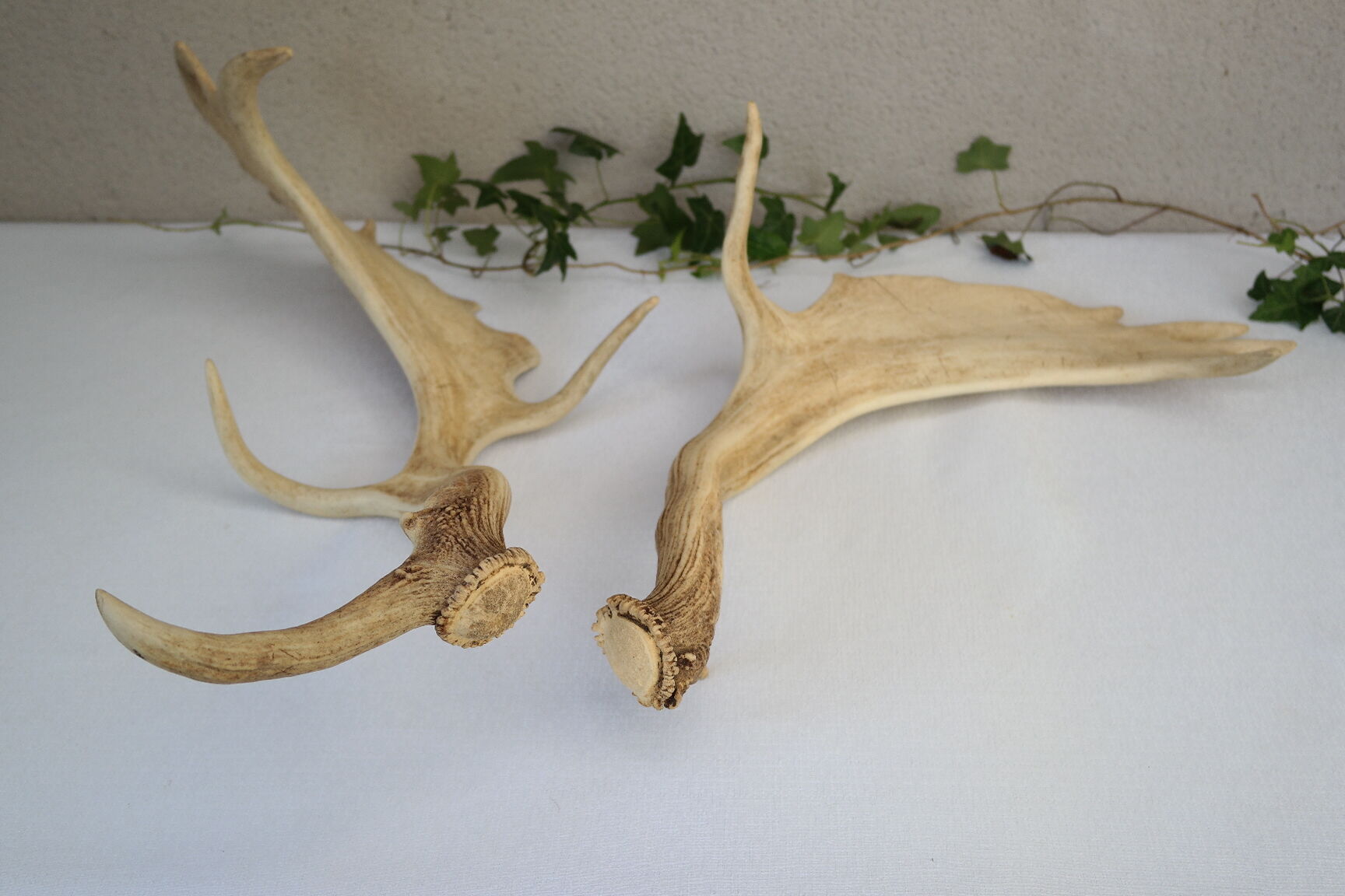 Pair of suede wood europe