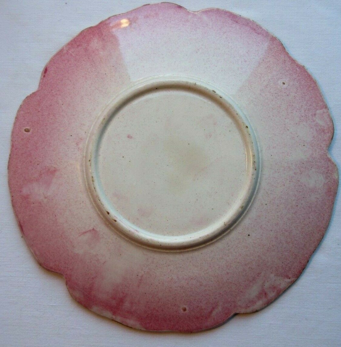 Art deco dabbling plate pink flower eglantine
