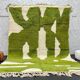 Pure wool rug green size 150 x 250 cm