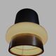 Industrial pendant light by Louis Kalff for Philips, Netherlands 1960