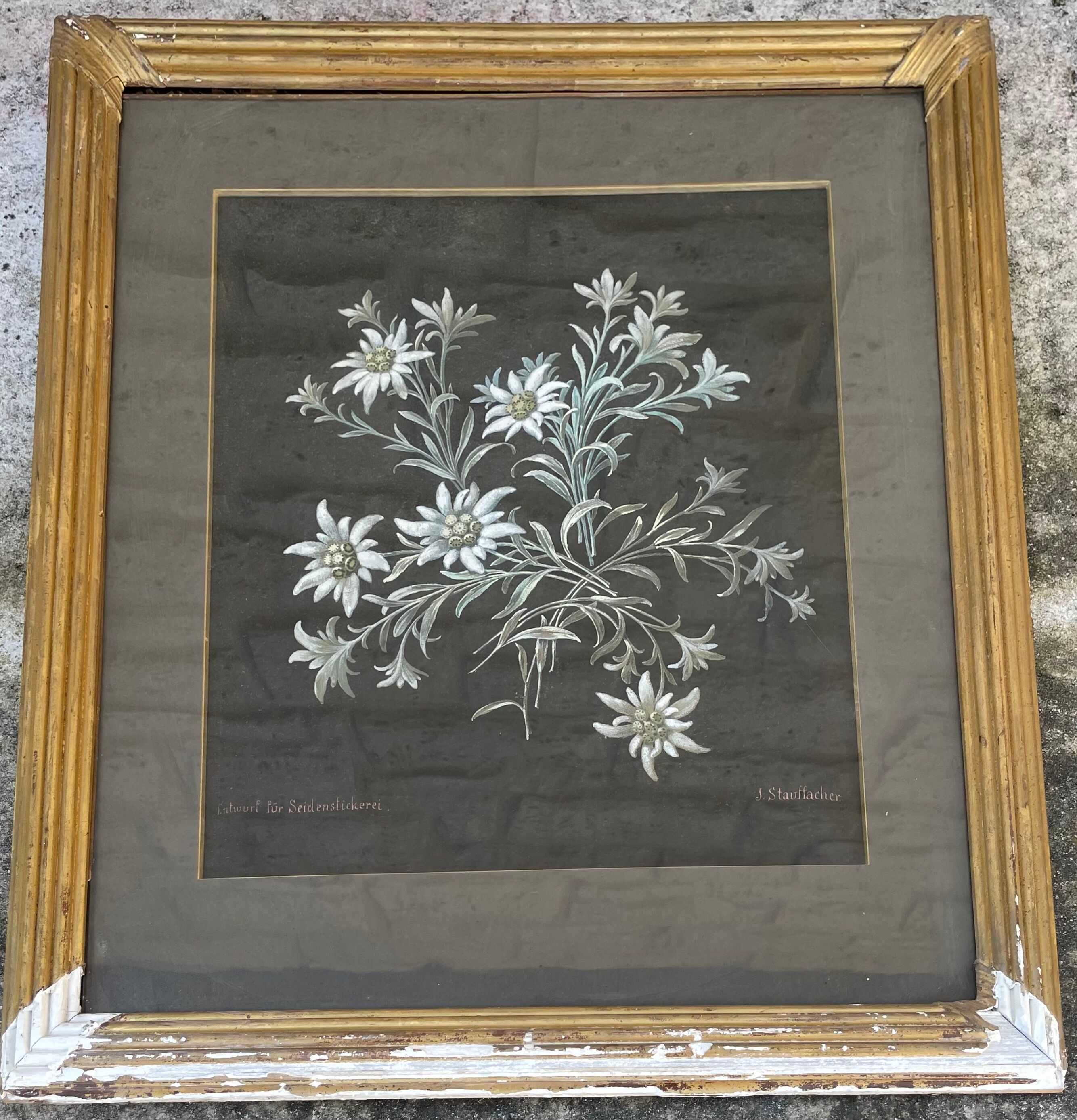 Painting old flowers Stauffacher cabinet of curiosity