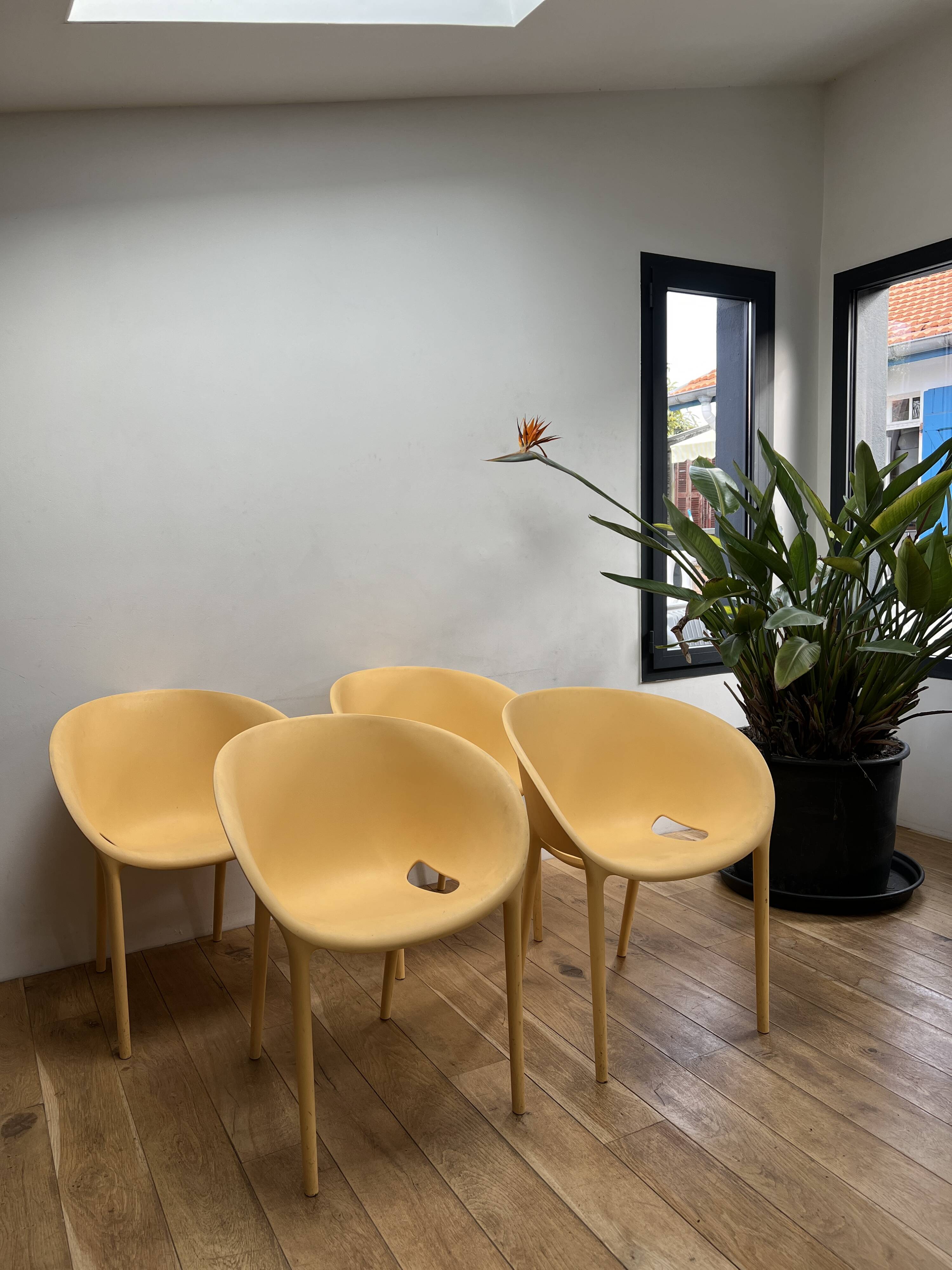 Series of 4 Soft Egg armchairs by Starck for Driade, Italy