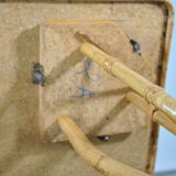 Rattan dining table year 60