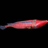 Poisson bozo