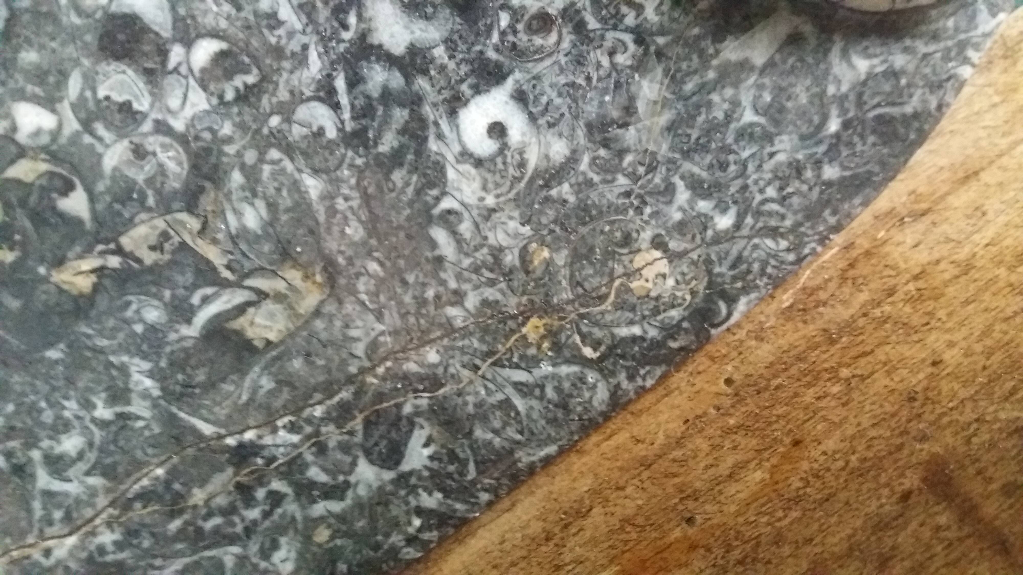Marble trinket tray with ammonite fossil