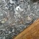 Marble trinket tray with ammonite fossil