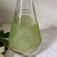 Green granite glass decanter - 50s