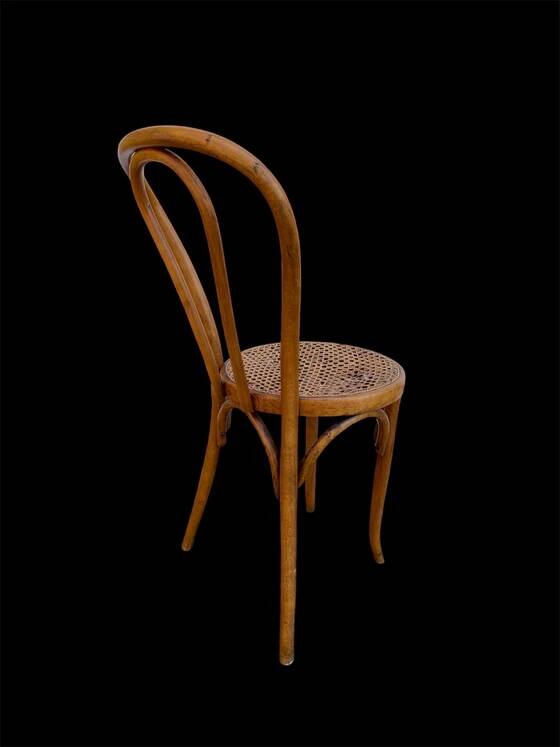 Bistro chair Horgen Glaris in curved wood and caning, Switzerland, circa 1900.